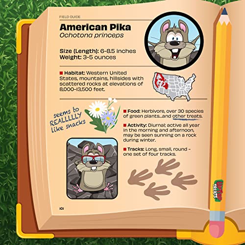 Butter Toffee Peanuts | 1 Lb Bag Of Gourmet Peanuts Toasted Gold