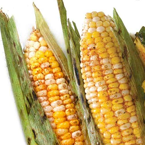 Urban Accents Corn On The Cob Vegetable Seasoning, Chile Lime An