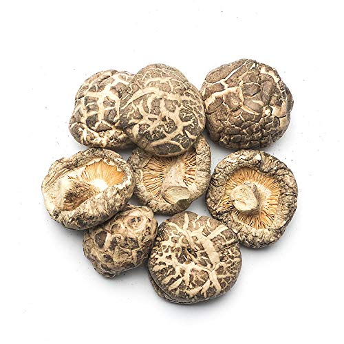 US-FARMERS Natural Premium Quality Shittake Mushroom CH 4-5cm in...