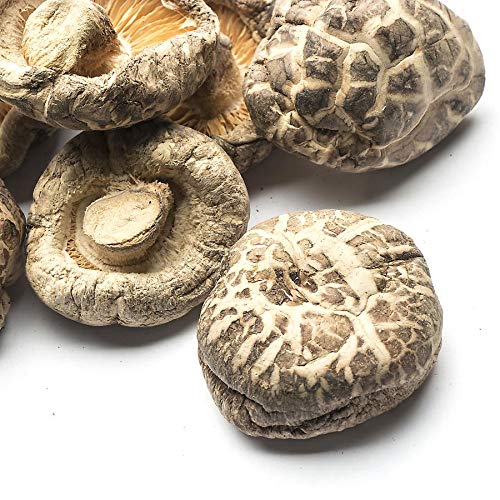 US-FARMERS Natural Premium Quality Shittake Mushroom CH 4-5cm in...