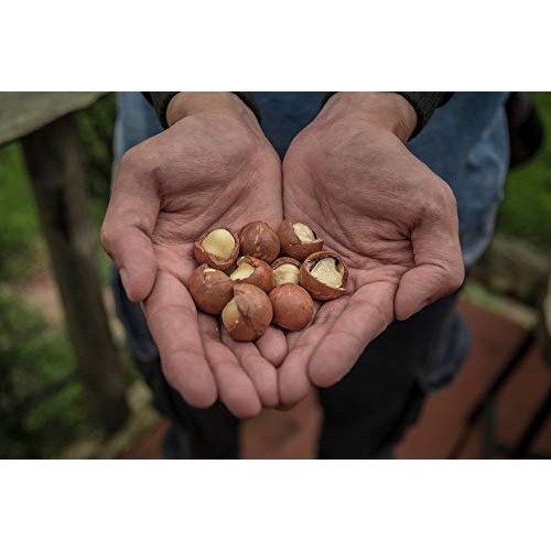 Us Organic Macadamia Nut Oil Unrefined Virgin, Usda Certified Or