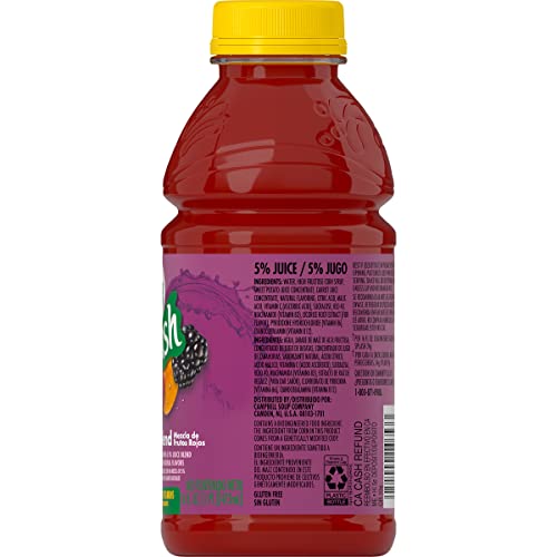 V8 Splash Berry Blend, 16 Oz. Bottle Pack Of 12