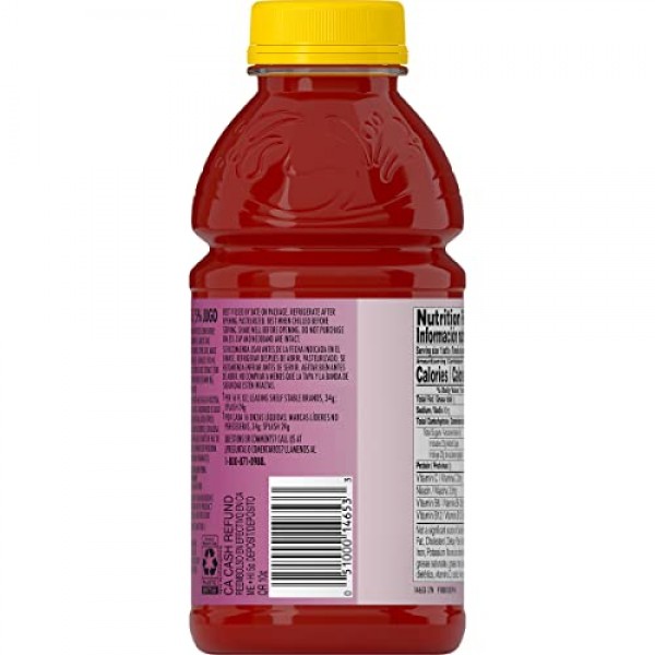 V8 Splash Berry Blend, 16 oz. Bottle Pack of 12