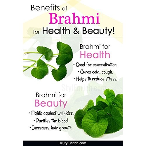Brahmi Ghee Herbal Ghee By Vadik Herbs | Premium Potency Herb