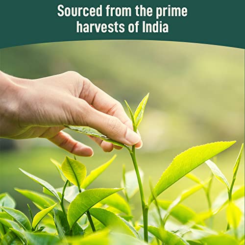 VAHDAM, Organic Himalayan Green Tea K Cup 18 Pods USDA Organic...