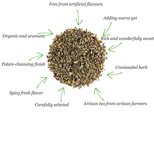 Basil Leaves Organic Culinary Herb - Perfect For Pesto - Sweet B