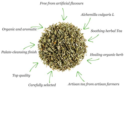 Lady Mantle Organic Herbal Tea - Ladys Alchemilla Vulgaris Herb