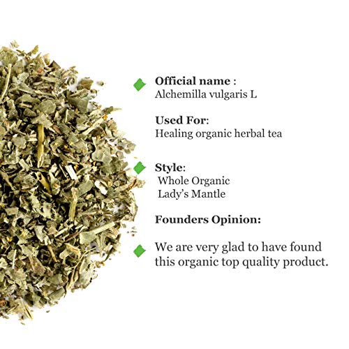 Lady Mantle Organic Herbal Tea - Ladys Alchemilla Vulgaris Herb