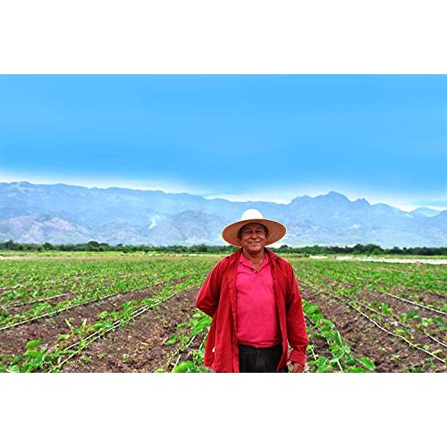 Root Smarts Sweet Potato Maple Bacon Flavored Root Vegetable Chi...