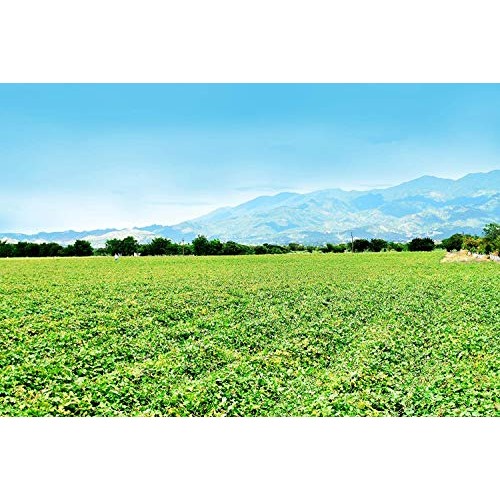 Root Smarts Sweet Potato Maple Bacon Flavored Root Vegetable Chi...