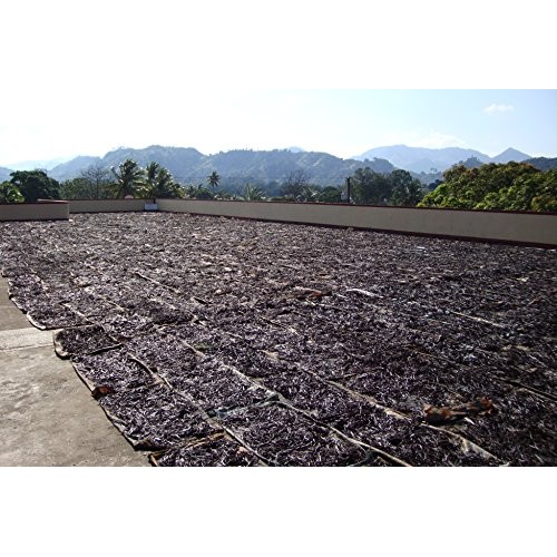 Vanilla Products Usa 25 Extract Grade B Vanilla Beans 4~5 Inches