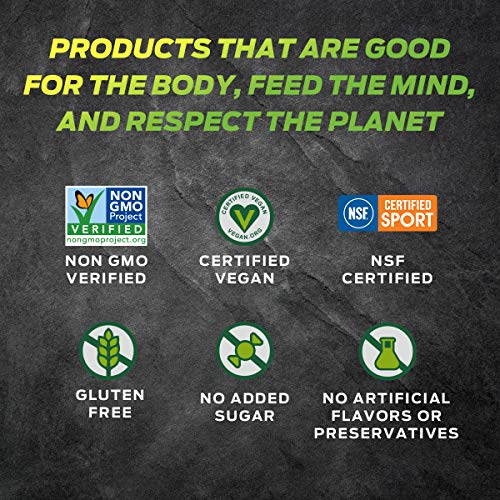 Vega Sport Premium Protein Powder, Mocha, Plant Based Protein Po
