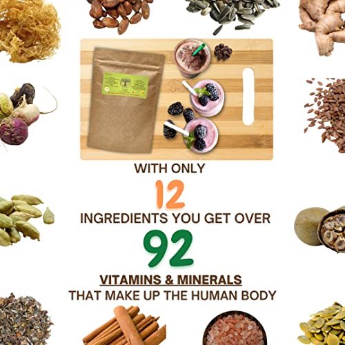 Vera Roots Seamoss Meal Replacement Shake - Vanilla-ish - Vegan,...