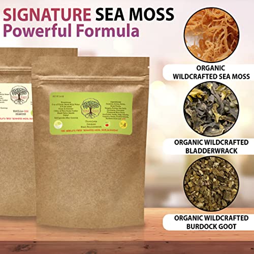 Vera Roots Seamoss Meal Replacement Shake - Vanilla-ish - Vegan,...