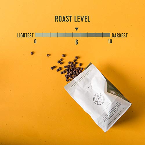 Verve Coffee Roasters Whole Bean Coffee Streetlevel Blend | Medi