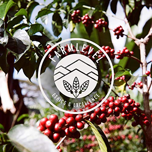 Verve Coffee Roasters Whole Bean Coffee Streetlevel Blend | Medi