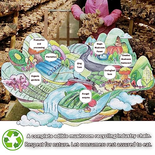 VIGOROUS MOUNTAINS Dried Shiitake Mushrooms for Cooking, Pure Ar...