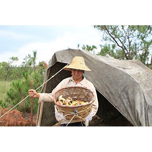 Vigorous Mountains Premium A Grade Dried Porcini Mushrooms Bolet