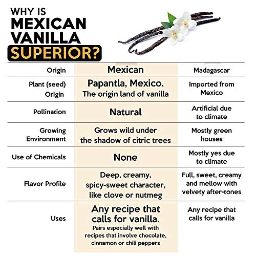 Villa Vainilla Pure Mexican Vanilla Beans 5 Whole Vanilla Beans