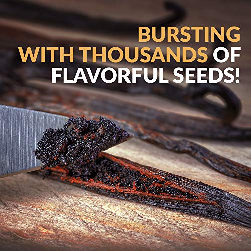 Villa Vainilla Pure Mexican Vanilla Beans 5 Whole Vanilla Beans