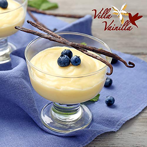 Villa Vainilla Pure Mexican Vanilla Beans 5 Whole Vanilla Beans