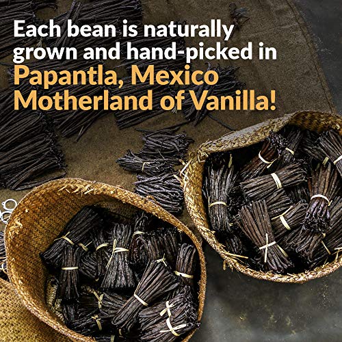 Villa Vainilla Pure Mexican Vanilla Beans 5 Whole Vanilla Beans