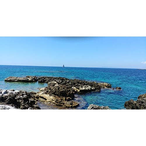 Village Batch Harvested Organic Course Sea Salt Flakes From Crys