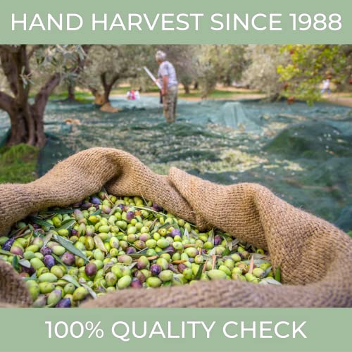 Italian Polyphenol Rich Olive Oil Extra Virgin