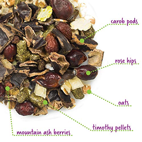 Vitakraft Chinchilla Cocktail Mixed Fruit Treat, 4.5 Ounce Pouch