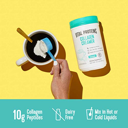 Vital Proteins Collagen Coffee Creamers - No Dairy, Low Sugar, P