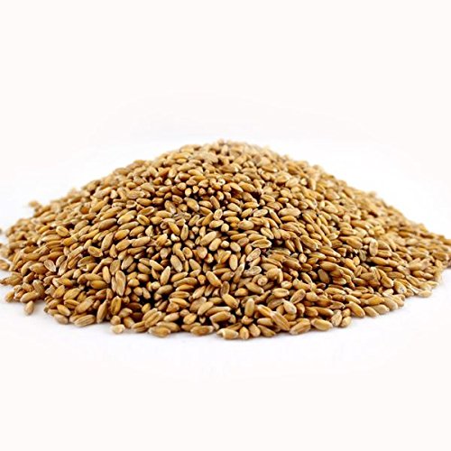 Purity Foods Vitaspelt Organic Spelt Berries Kernel 25 Lb Bag