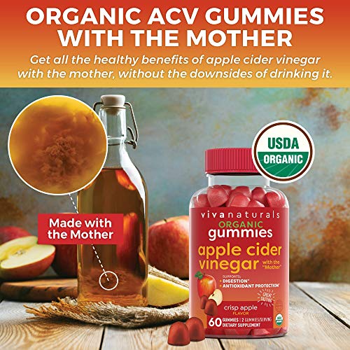 Organic Apple Cider Vinegar Gummies | 60 Acv Gummies With The Mo