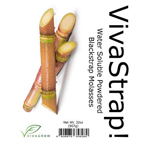 Vivastrap! Dry Powdered Blackstrap Molasses Unsulphured Water So