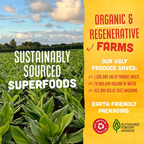 Vive Organic Vitamin C + Immune Support Shot, Cold-Pressed Turme...