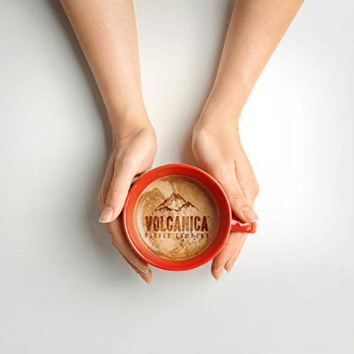 Cold Brew Coffee, Whole Bean, Fresh Roasted, 16-Ounce