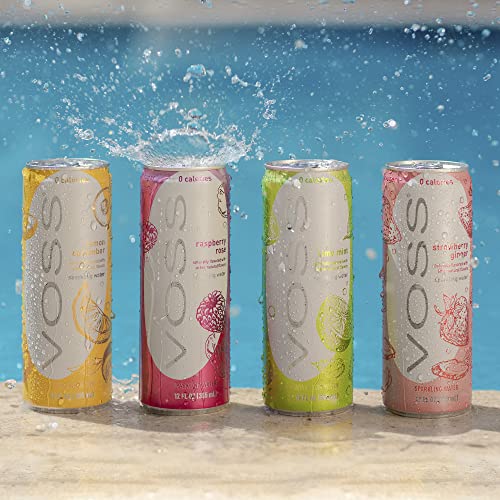 Voss Water Flavored Sparkling Water, Strawberry Ginger, 12 Fl Oz