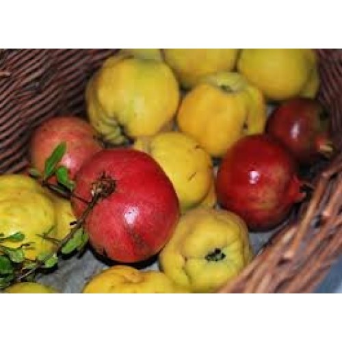 Vsop Pomegranate Quince Aged White Balsamic Vinegar Of Modena 7