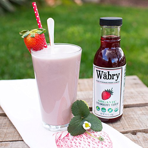 Wäbry Organic Syrup 14.9 Oz Strawberry Bpa-Free Plastic