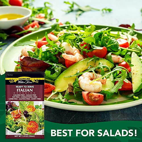 Walden Farms Italian Salad Dressing Packets - Six 1 Oz. Packets