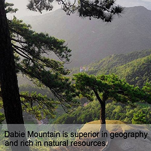 Dried Top Grade Red Chinese Reishi Mushroom Slice Raw From Dabie