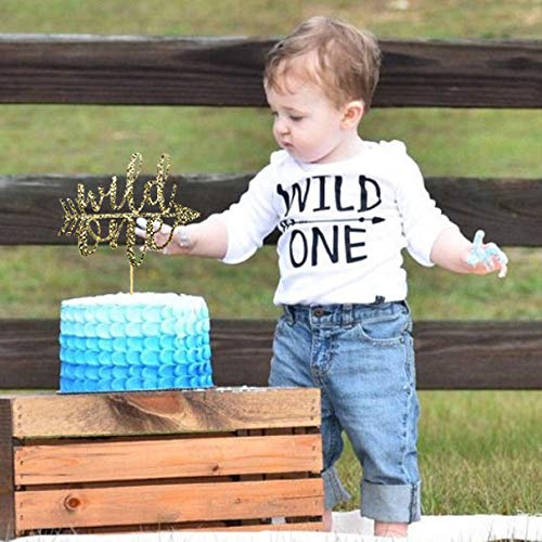 Wild One Cake Topper For Birthday - Gold Glitter Smash Cake Topp