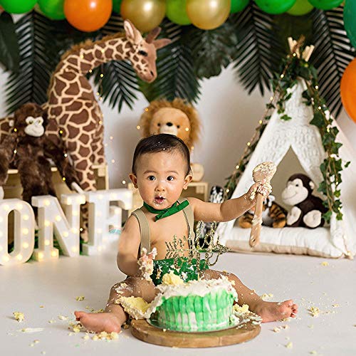 Wild One Cake Topper For Birthday - Gold Glitter Smash Cake Topp