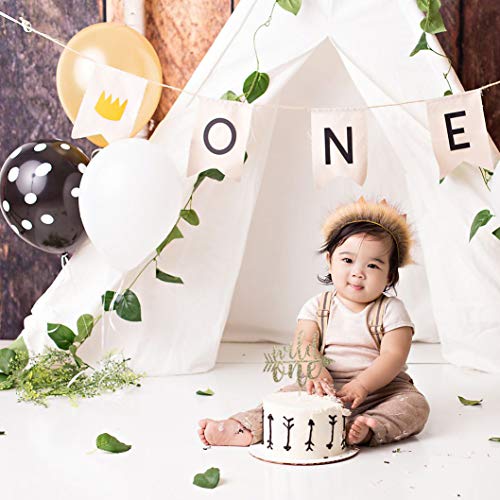 Wild One Cake Topper For Birthday - Gold Glitter Smash Cake Topp