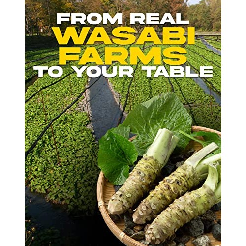 Wasabi O Spicy Mayonnaise - Premium Mayo Cream with Real Wasabi ...