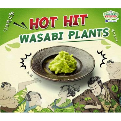Wasabi-O, Wasabi Powder 1.24 Oz 35 G - 3 Can/Pack - The Ideal