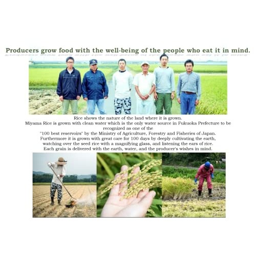 The Rice for Earthenware Cray Pots. MIYAMA RICE The rice loved ...