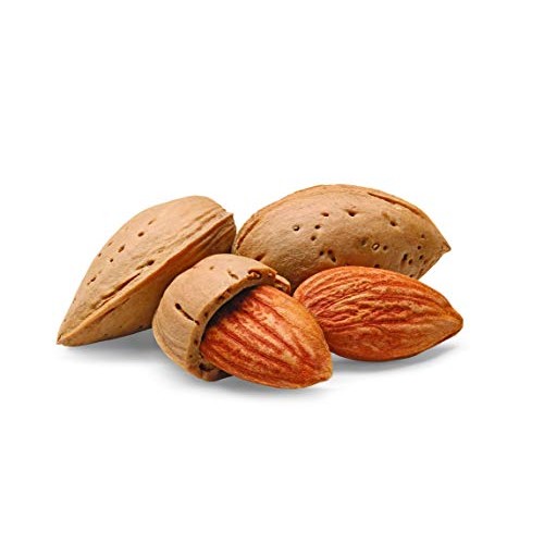 Watkins Pure Almond Extract, 2 Fl Oz Pack Of 1