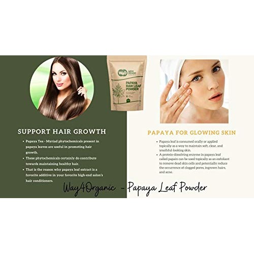 Papaya Leaf Powder 16 Ounces1 Pound, Dried From Fresh Green Le