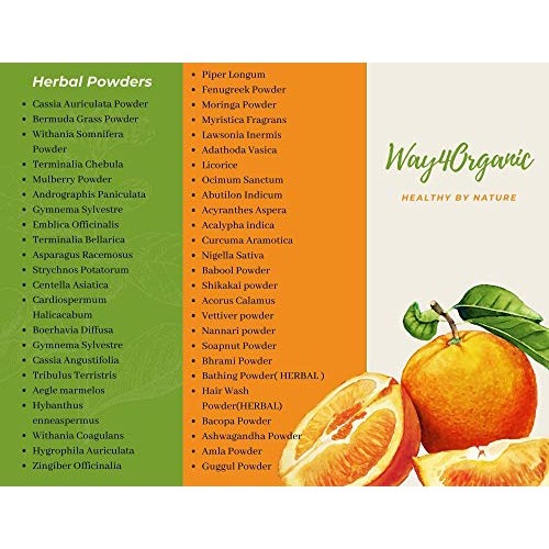 Papaya Leaf Powder 16 Ounces1 Pound, Dried From Fresh Green Le