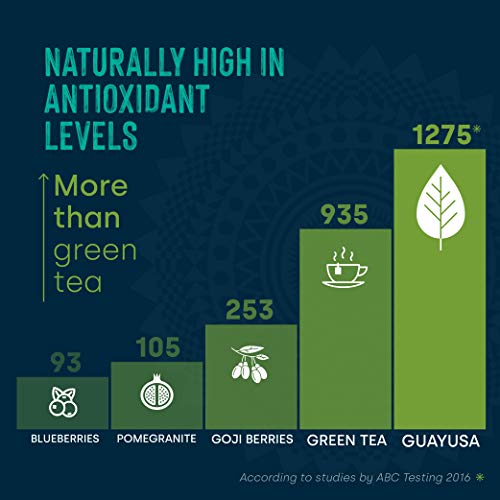 Waykana Guayusa Loose Leaf Tea, 16 Ounce | Yerba Mate &Amp; Coffee A